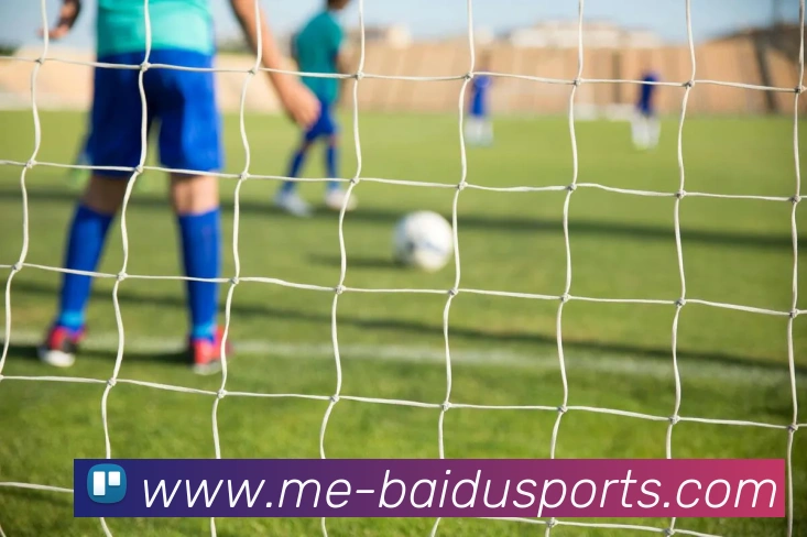 百度体育网站品牌故事